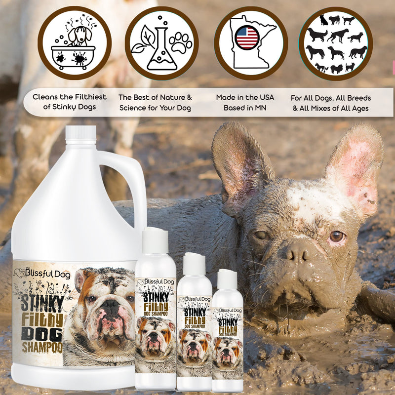 The Blissful Dog Stinky Filthy Dog Shampoo, 16 oz 16-Ounce - PawsPlanet Australia
