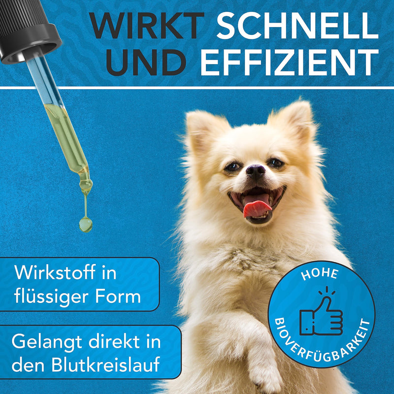 ENEMEL® Vitamin B Complex for Dogs [100ml] | Innovation through drops | Vitamin B Dog | all B vitamins included | Made in Germany 100ml - BeesActive Australia