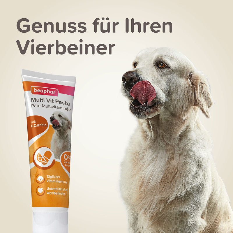 beaphar - Multi VIT Paste Dog - for dogs - with biotin, L-carnitine - for durable skin and beautiful fur - 0% added sugar - daily vitamin enjoyment - supports well-being - 250 g multi-vitamin 250 gr - BeesActive Australia