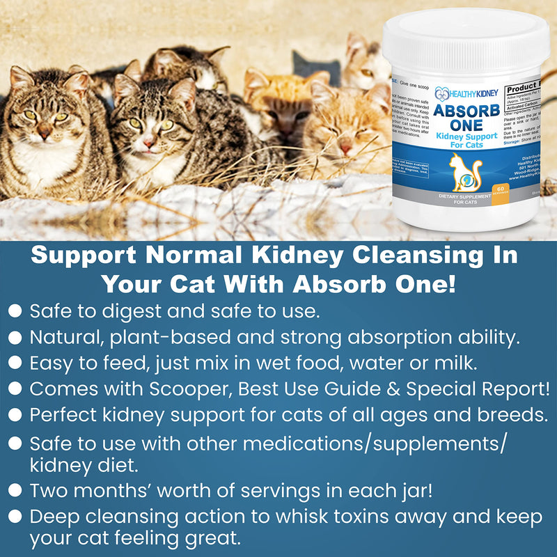 Cat Kidney Support Supplement for Normal Kidney Function in Cats. Natural Feline Kidney Cleanse Take with Any Kidney Cat Diet Food. Vet-Formulated 1/8 TSP a Day 60 Servings: Absorb One