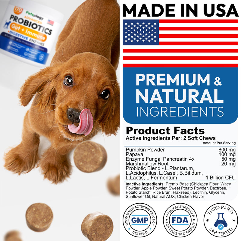 Probiotics for Dogs - 170 Dog Probiotics Chews - Digestive Enzymes & Prebiotics - Support Gut Health, Diarrhea, Gas & Constipation Relief - Itchy Skin, Allergies, Yeast Balance - Advanced Supplement 170 Chews Probiotic
