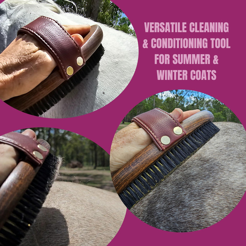 Horse Grooming Brush Set 3pcs; Copper Bristle Body Brush, Mane & Tail Brush, Curry Comb - BeesActive Australia