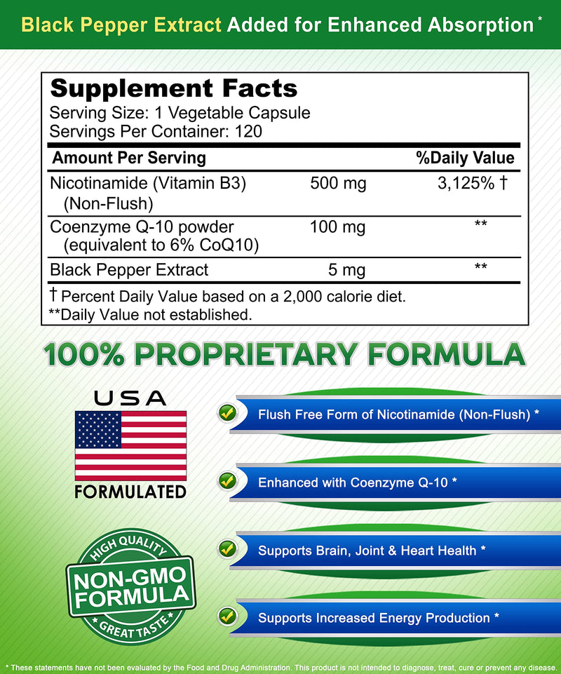 Nicotinamide with CoQ10 (120 Capsules) - Vitamin B3 500mg (Niacinamide Flush Free) - Coenzyme Q10 Powder - VIT B-3 & Coq 10 Supplement Pills to Support Energy, NAD, & Skin Cell Health