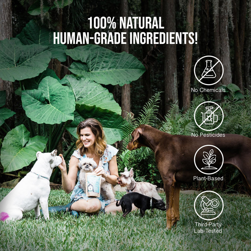 Soothe - Dog Balm with Hemp Oil - Hot Spots, Itchy Skin, Rashes, Bug Bites, & Wound Care - Natural Anti-Itch Relief 300 mg (Pack of 1)