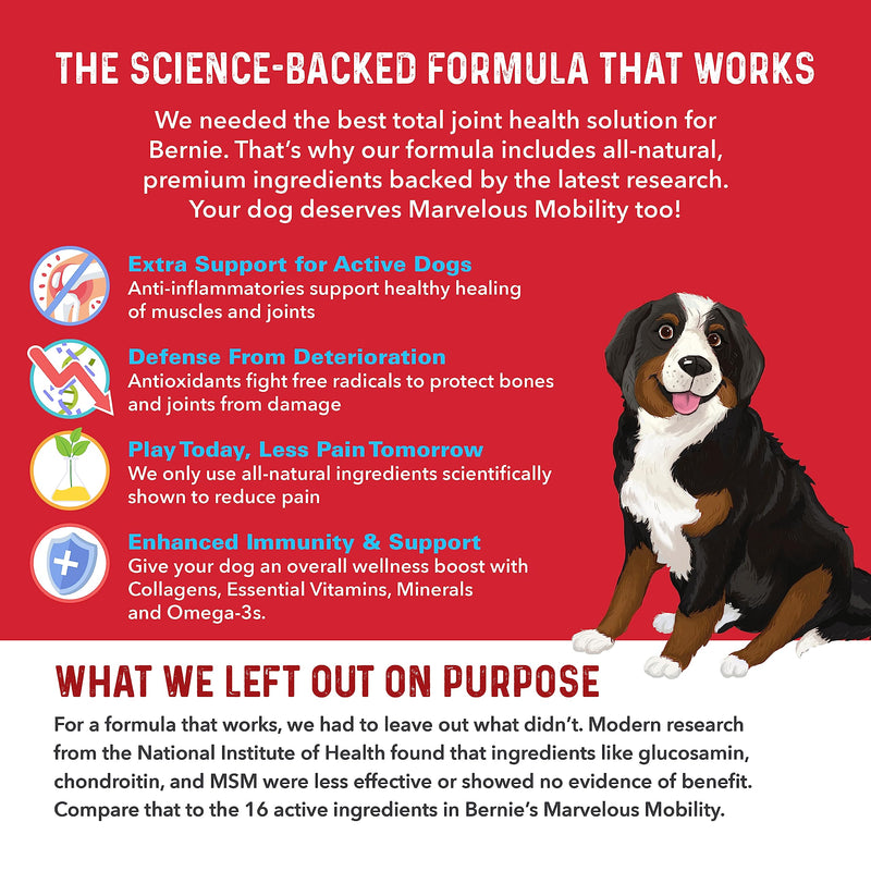 Bernie's Marvelous Mobility Dog Joint Support, 90 Chews 90 Count