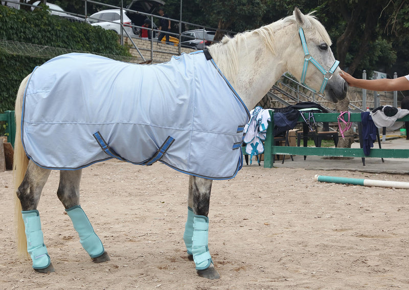 Horse Fly Boots - Fly Horse Boots Perfect for Equine Leg Wraps and Maximum Horse Fly Protection Set of 4 (Blue, Full) Blue - BeesActive Australia