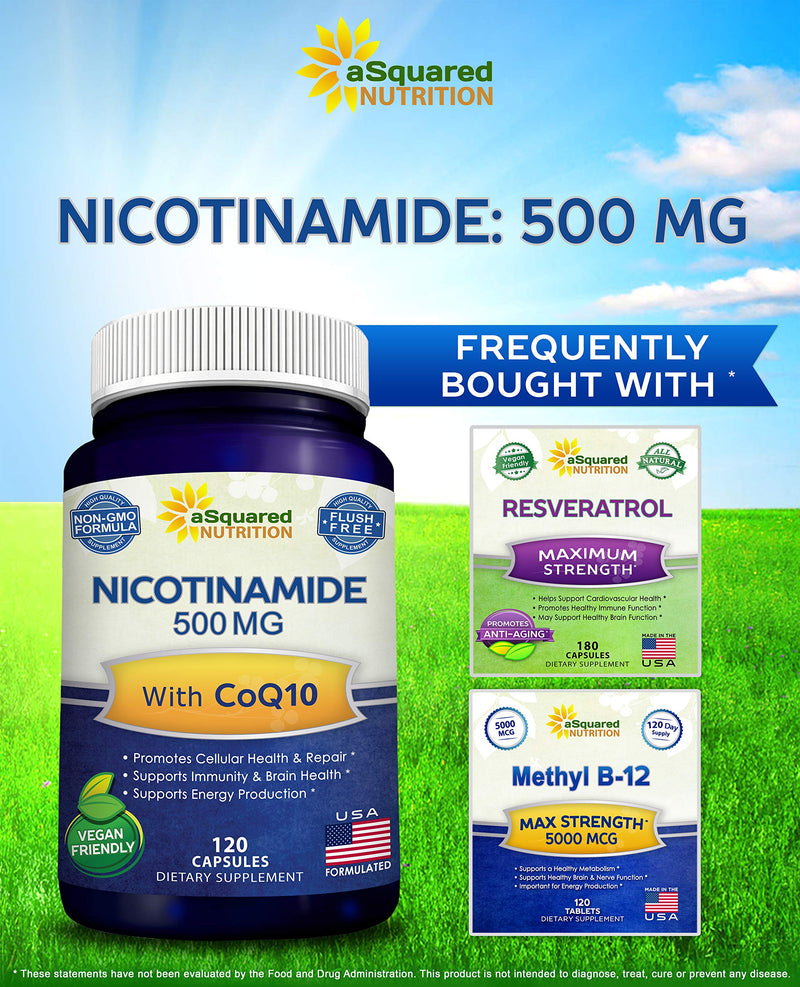 Nicotinamide with CoQ10 (120 Capsules) - Vitamin B3 500mg (Niacinamide Flush Free) - Coenzyme Q10 Powder - VIT B-3 & Coq 10 Supplement Pills to Support Energy, NAD, & Skin Cell Health