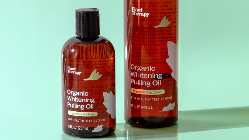 Plant Therapy Organic Pulling Oil 16 oz Coconut & Peppermint, Naturally Whitens Teeth, Freshens Breath & Supports Gum Health, Helps Calm Oral Irritation and Discomfort, Natural Essential Oils 16 Fl Oz (Pack of 1)