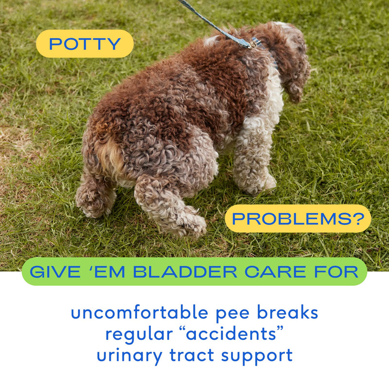 Native Pet Dog & Cat UTI Treatment - 30 Chicken Chews with Cranberry - Bladder Control for Urinary Tract Infection - UTI Medicine for Dogs - Urinary Tract Cat Food - Pet Health 30 Cranberry Chews Native Pet - BeesActive Australia