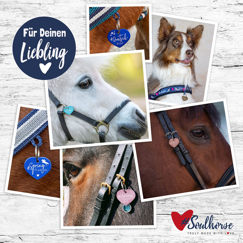 Soulhorse Horse Brand Pony Lucky Brand Horse Brand Lucky Charm Guardian Angel Saddle Heart Bridle Key Ring Talisman for Animals and People (Light Blue, Once in a Lifetime Horse) - BeesActive Australia