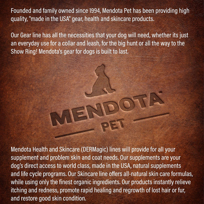 Mendota Pet Slip Leash - Dog Lead and Collar Combo - Made in The USA - Black Confetti, 1/2 in x 6 ft - for Large Breeds - BeesActive Australia