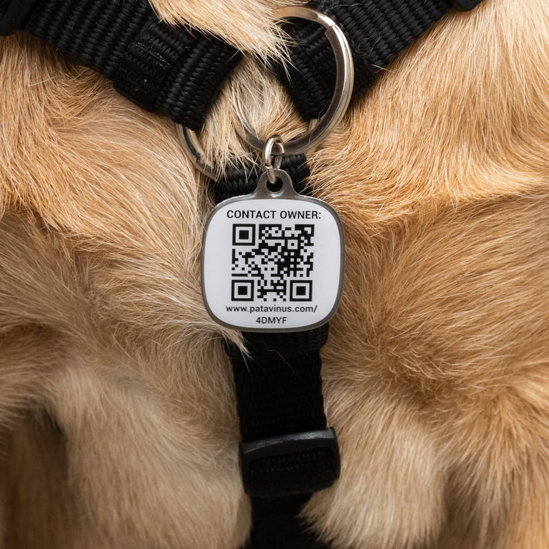 SECURE your dog - 1x customizable tag and app for iOS and Android - Personalized QR code dog tag - Dog address tag - Contact us in seconds using the chat function - BeesActive Australia