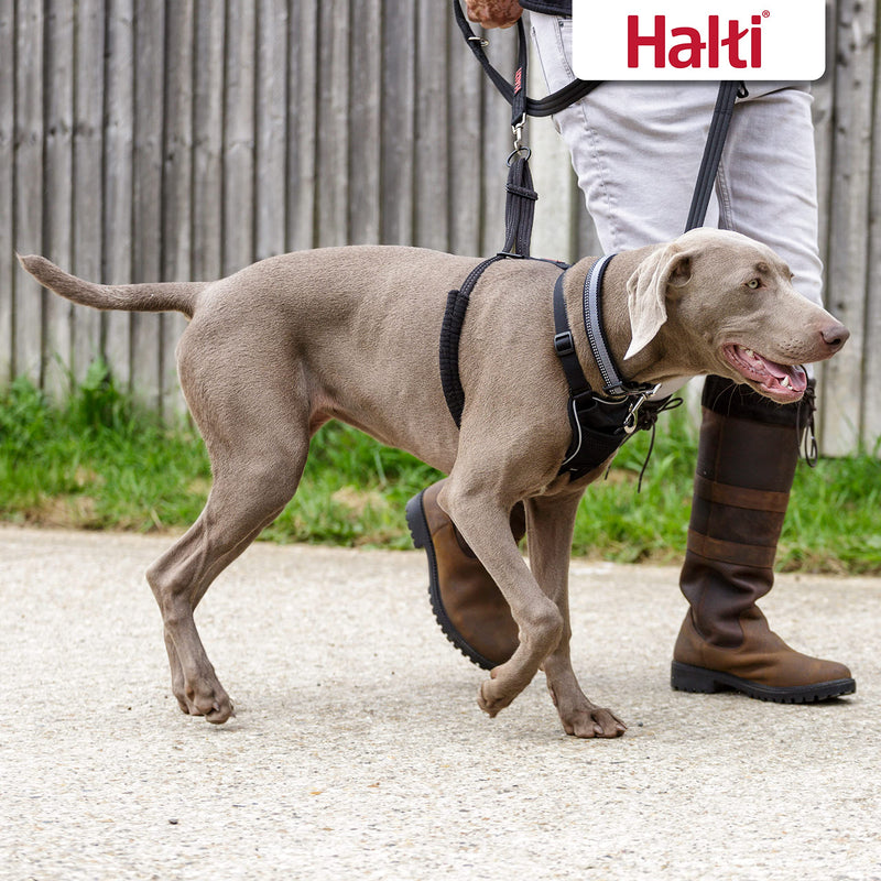 HALTI No Pull Harness - to Stop Your Dog Pulling on The Leash. Adjustable, Lightweight and Easy to Use. Reflective Dog Training Harness for Large Dogs (Size L),Black - BeesActive Australia