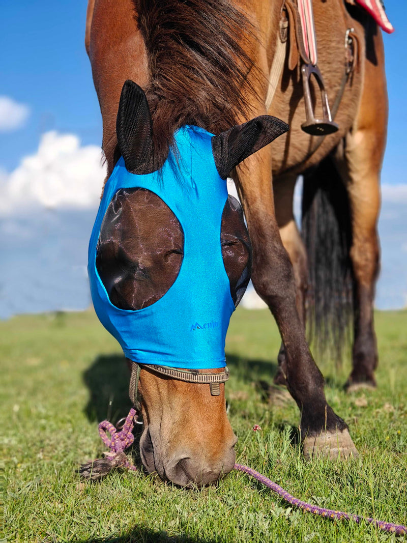 Azure Blue Menjo Outdoors Elastic Horse Fly Mask with Ears, Cobs/Arabians/Small Headed Horses Azure Blue - BeesActive Australia