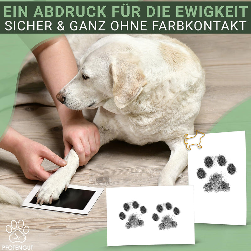 PFOTENGUT® XXL paw print set including 3 stamp pads and 6 print cards - high-quality paw print set for dogs and cats - dog paw print as a gift and souvenir - BeesActive Australia