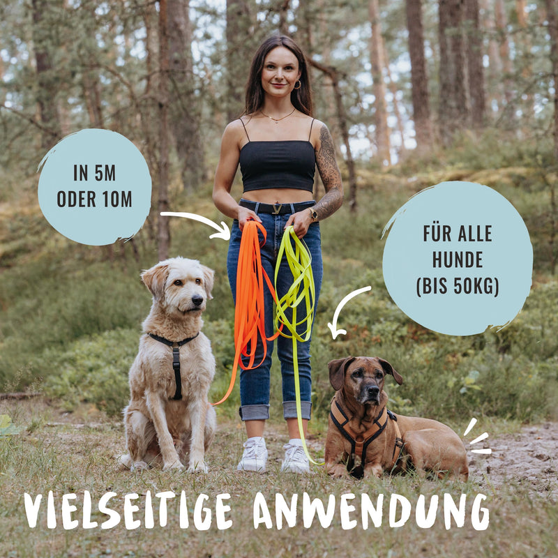 Rudelkönig drag leash 10m for dogs - robust and weatherproof dog leash for successful dog training - with neon yellow handle padding - BeesActive Australia
