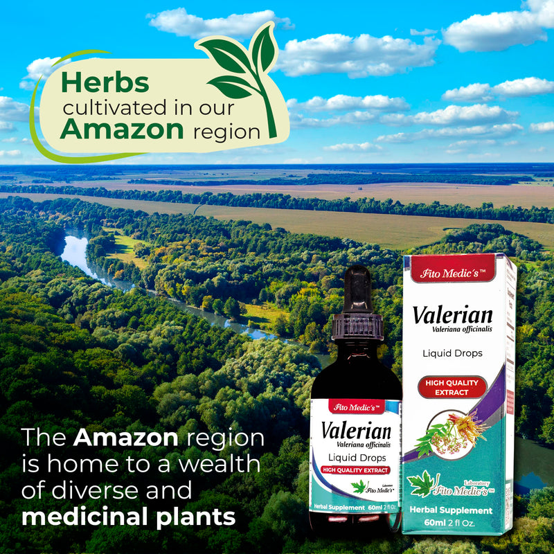 Lab - Valerian Root - Valerian Root Drops - Pure - Valerian - Valerian Root Extract -Ultra high Absorption, Alcohol Free - valeriana. - BeesActive Australia