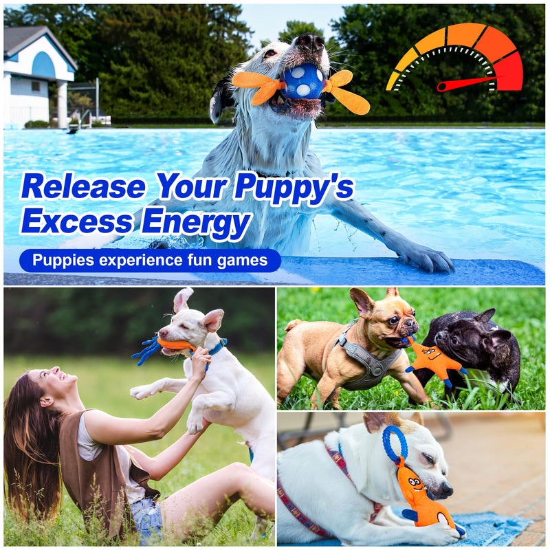 4 Pack Frozen Puppy Toys to Keep Them Busy to Relieve Teething Pain,Chew Toys for Puppies 0-6 Months Relieve Teething Itch, Puppy Teething Rings to Release Excess Energy - BeesActive Australia