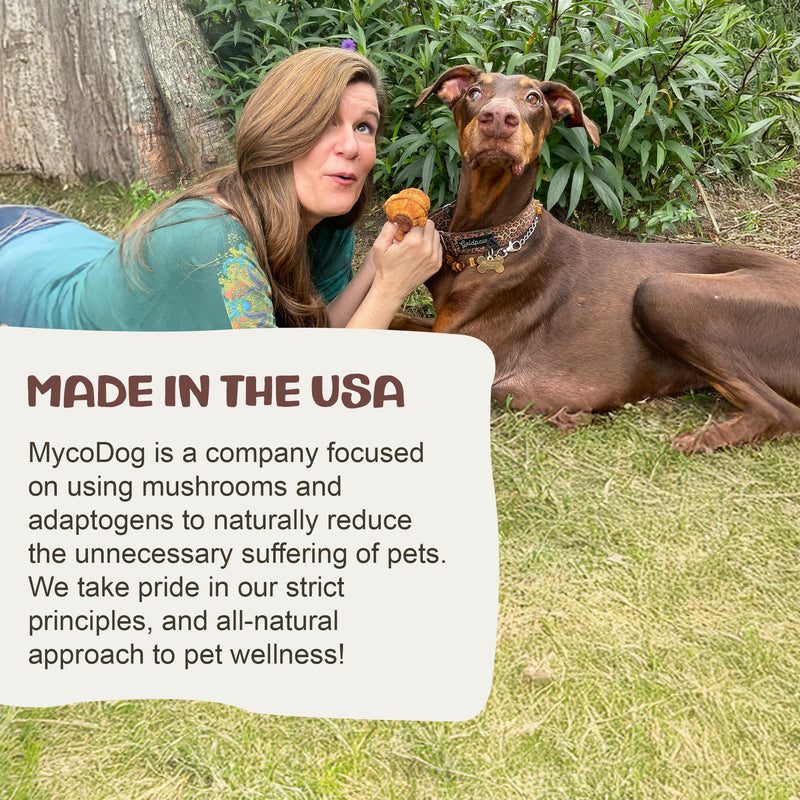 MycoDog Chaga Mushroom Supplement for Dogs - Immune Defense & Antioxidant Support - Natural Vitality & Wellness Drops