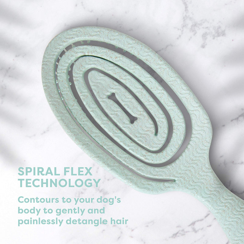 BioSilk for Pets Eco-Friendly Detangling Pin Brush for Dogs in Mint Green | Easy to Hold Ergonomic Handle Dog Brushes, Wet or Dry Dog Hair Brush, Light Blue (FF12806),Gray/Black 1 Count - BeesActive Australia