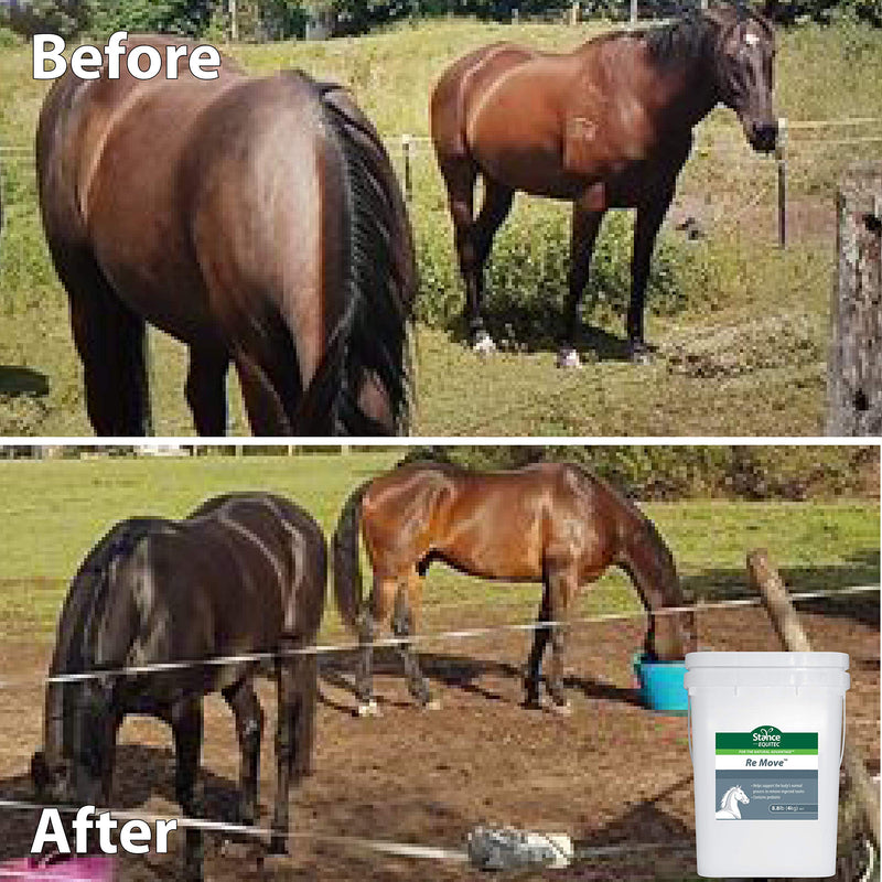 Stance Equitec Re Move - Horse Supplements That Support The Body's Normal Process to Remove Ingested Toxins, Contains Probiotics - 1.8 lb - BeesActive Australia