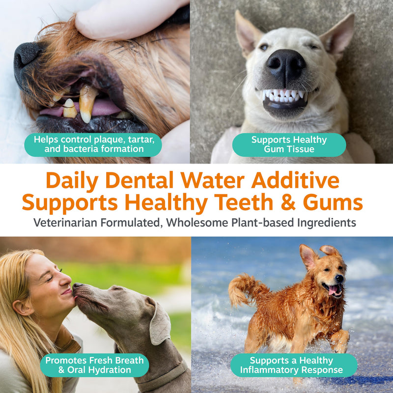 Zesty Paws Dog Dental Water Additive - Dog Breath Freshener + Oral Care - Plaque & Tartar Control - for Teeth & Gum Health - Pomegranate, Green Tea, Aloe & Zinc Extract 16oz