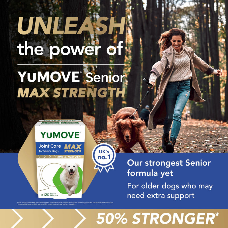 YuMOVE Max Strength Joint Supplement for Senior Dogs, Hip & Joint Aid with Glucosamine, Chondroitin, Green Lipped Mussel, 120 Tablets - Eco Friendly and Letter Box Ready Packaging | Unflavoured