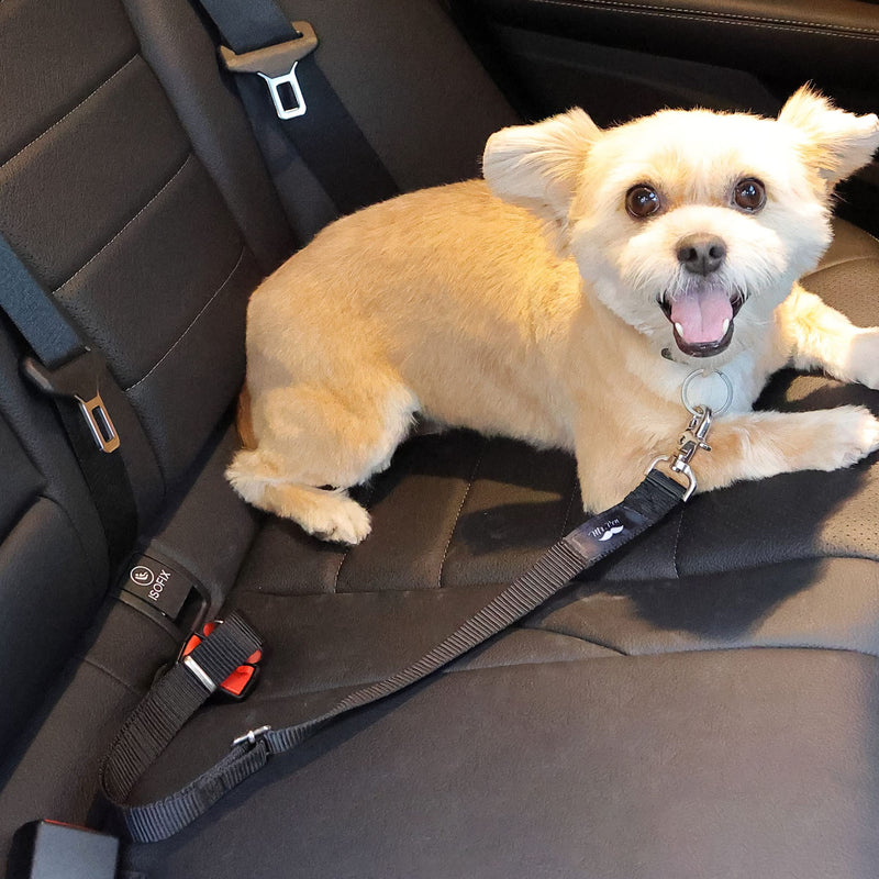 Mr. Pen- Dog Seat Belt, 2 Pack, Adjustable Dog Seat Belt for Car, Dog Seatbelt, Dog Car Seat Belts, Seat Belt for Dogs in Car, Dog Car Seat Belt, Dog Car Leash, Dog Seatbelt Harness, Pet Seatbelt - BeesActive Australia
