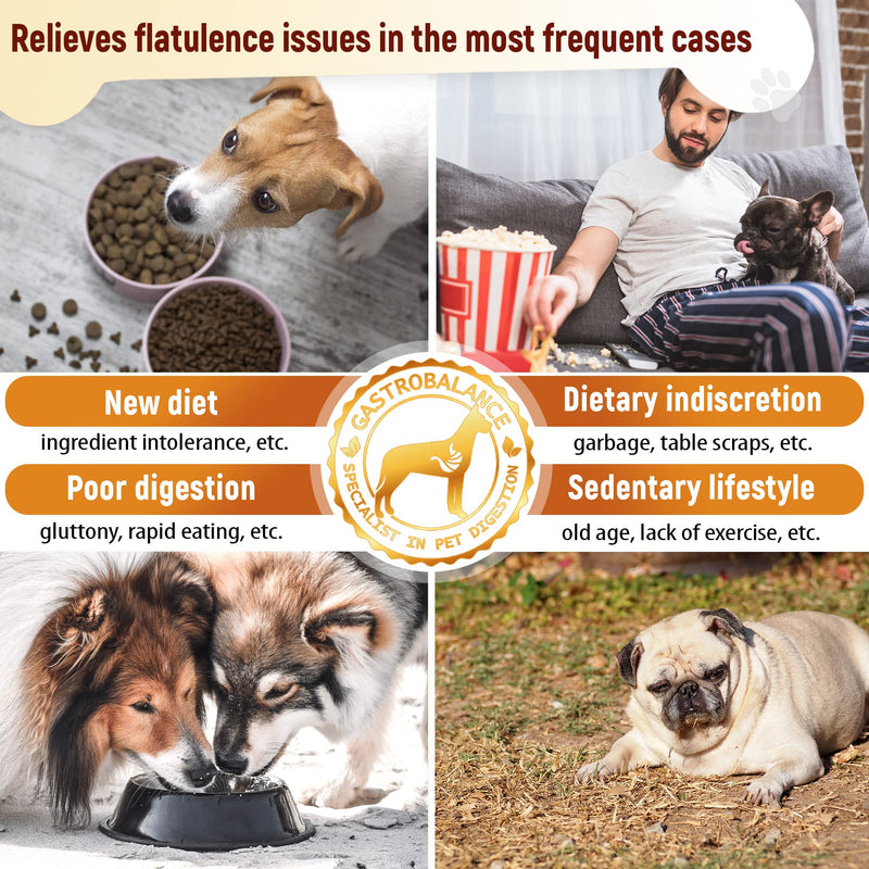 dog flatulence treatment - 60 natural dog flatulence chews recommended by vet (Bacon flavour) Bacon flavour