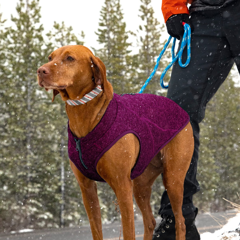Kurgo Core Dog Sweater, Knit Dog Sweater with Fleece Lining, Cold Weather Pet Jacket, Zipper Opening for Harness, Adjustable Neck, Year-Round Sweater for Medium Dogs (Heather Violet, Medium) Medium (Pack of 1) Heather Violet - BeesActive Australia