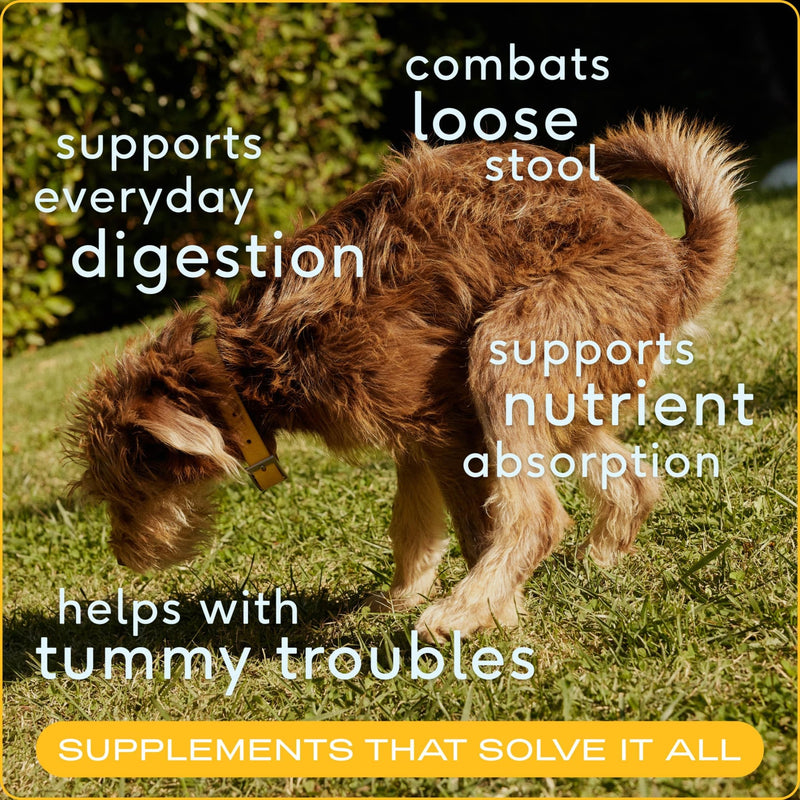 Native Pet Belly Bundle | Pumpkin for Dogs (8oz) + Probiotic Powder for Dogs (8 oz) | All-Natural Remedy for Dog Diarrhea + Dog Upset Stomach + Dog Gas Relief | Natural Relief for Upset Stomach! - PawsPlanet Australia
