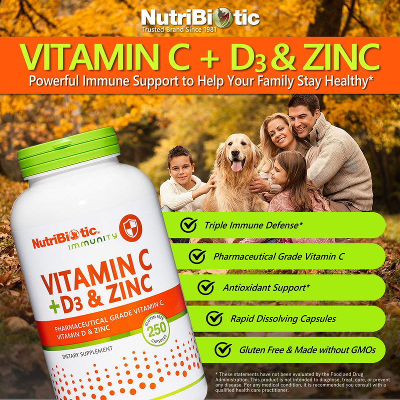 NutriBiotic – Vitamin C + Vitamin D3 & Zinc, 250 Capsules | Potent, Comprehensive Immune Support | Essential & Antioxidant Daily Supplement | Gluten & GMO Free (Pack of 2) 250 Count (Pack of 2)