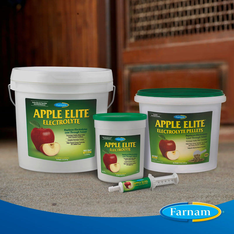 Farnam Apple Elite Horse Electrolyte Paste, Rapid replenisment of minerals lost in sweat during exercise, extreme weather and stressful conditions, 60 cc - BeesActive Australia