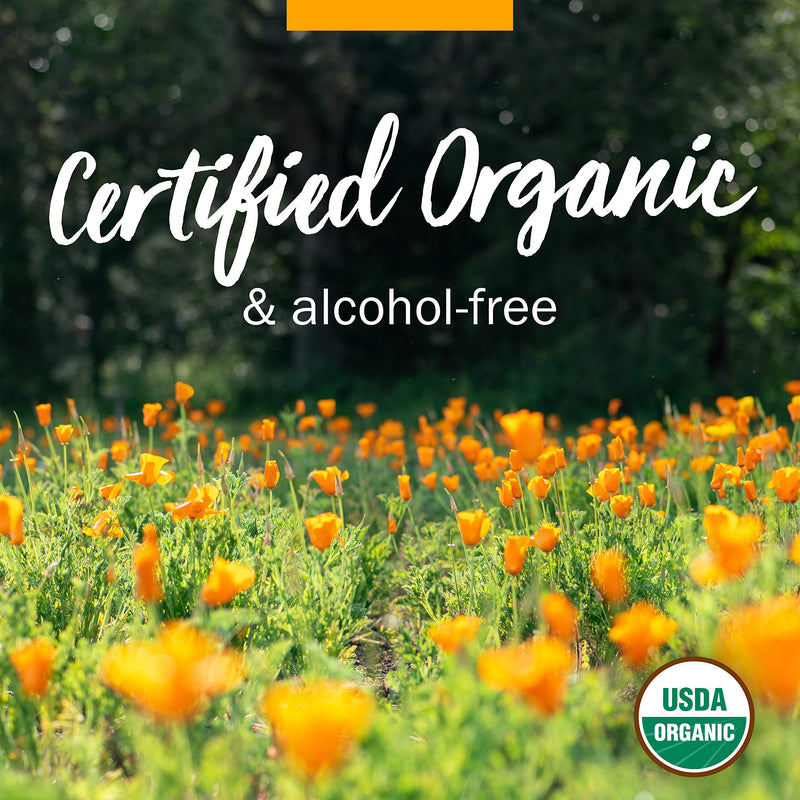 Herb Pharm Certified Organic Valerian Root Liquid Extract for Relaxation and Restful Sleep, Alcohol-Free Glycerite, 1 Ounce 1 Fl Oz (Pack of 1) - BeesActive Australia