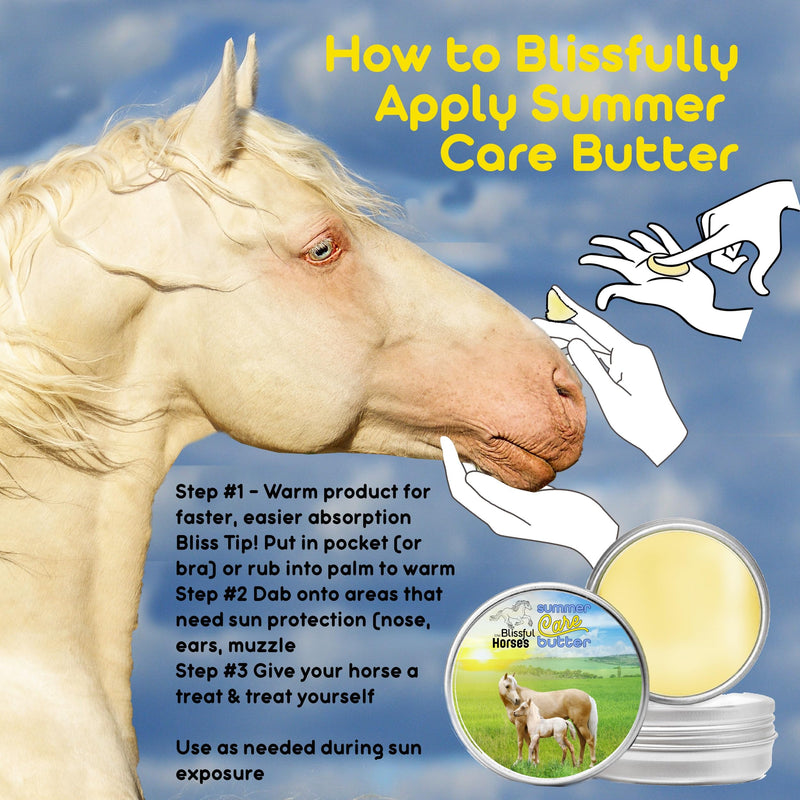 The Blissful Horses Summer Care Sun Butter, Gentle Horse Sunscreen, Easy-to-Apply Equine Sunblock Solution, Must-Have Horse Essentials for All Day Sun Protection, 4 oz. 4-Ounce - BeesActive Australia