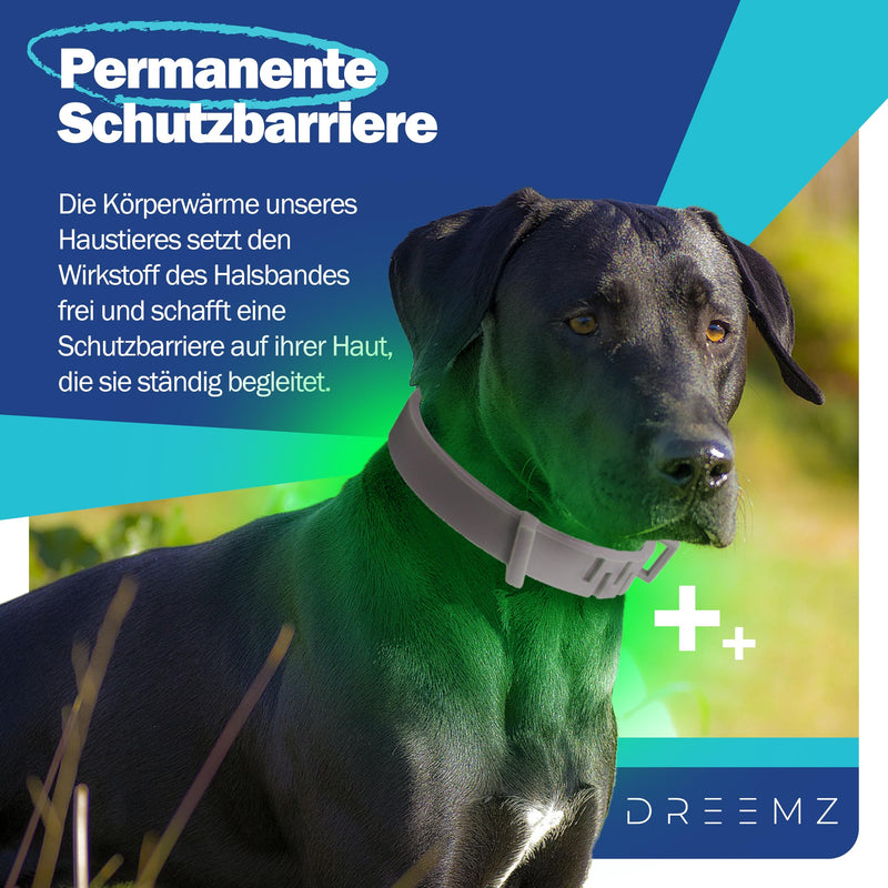 DREEMZ ® tick collar for dogs - flea collar dog flea protection collar for dogs - tick collar - 100% natural - protective collar against fleas - 8 months protection - 63cm adjustable (2 units) 2 units - BeesActive Australia