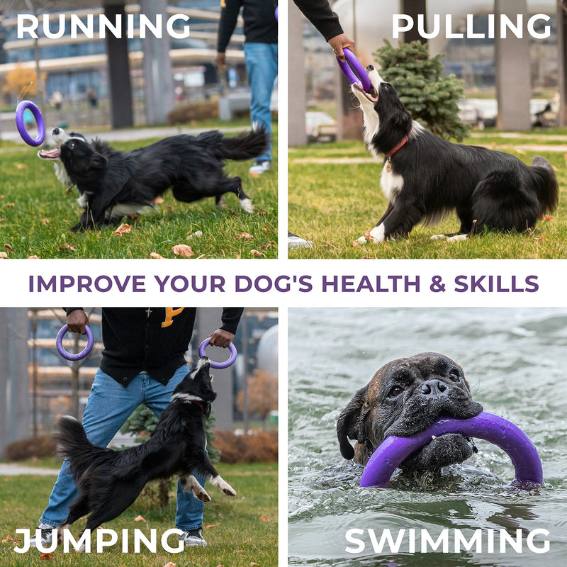 Puller Outdoor Dog Ring Toys - Dog Fetch Toy & Tug of War Dog Toy for Small Medium Large Dogs - Dog Ball & Soft Dog Frisbee Alt - Outside Dog Yard Toys - Big Dog Pull Toy - Dog Agility Jumps Tool MIDI - TWO Rings - BeesActive Australia