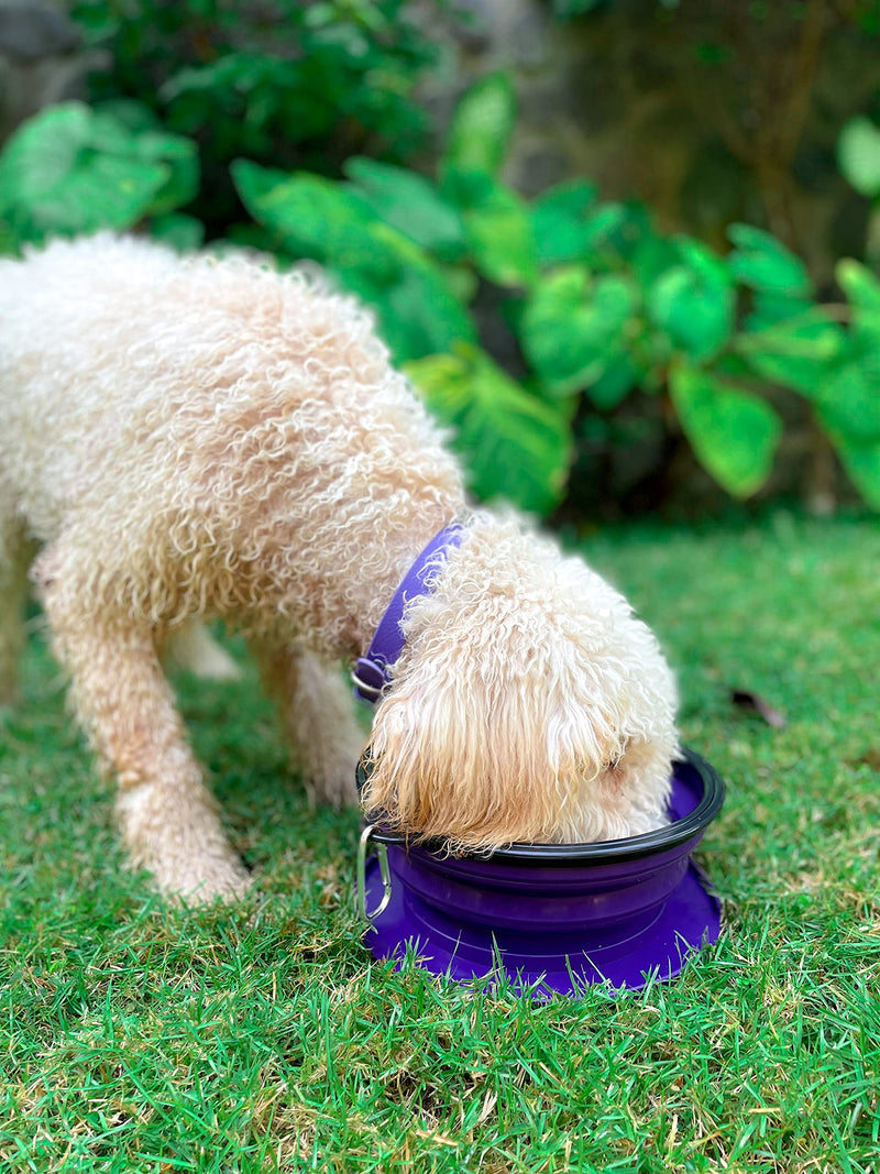 Tuff Pupper SuperBigSlurp Collapsible Dog Bowls, Extra Large Capacity, Portable, Food Safe, Odorless, Non-Toxic Silicone Ultra Violet XXL (100oz) - BeesActive Australia