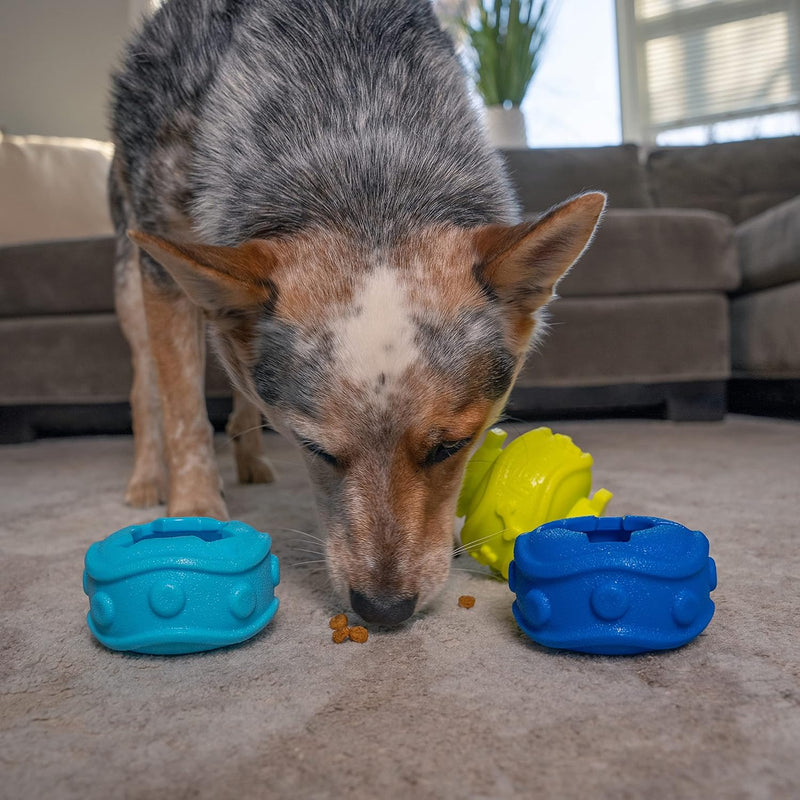 Outward Hound Treat Locking Discs Dog Treat Dispenser Puzzle Toy - BeesActive Australia