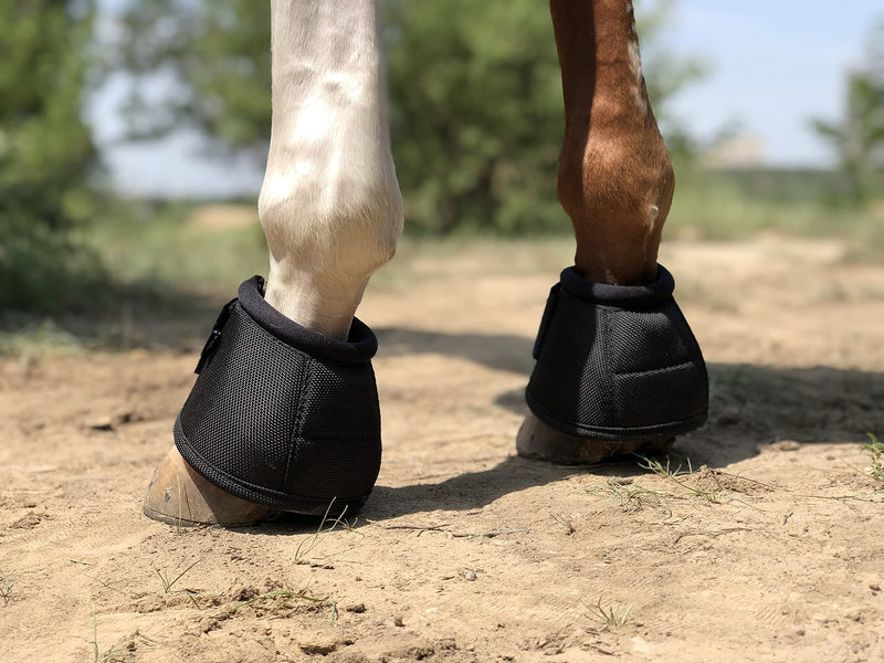 TGW RIDING 2520D Horse Bell Boots No-Turn Horse Bell Boots, Equine Ballistic Hoof Overreach Bell Boot, Pair Black Large - BeesActive Australia