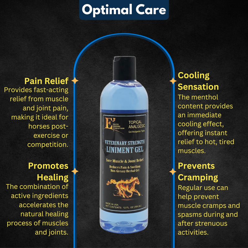 E3 Joint and Muscle Lin Non-Greasy Herbal Gel with Mint – 12 oz Cooling Botanical Equine Gel for Post-Workout Massage and Daily Comfort – Fast Absorbing, No Residue