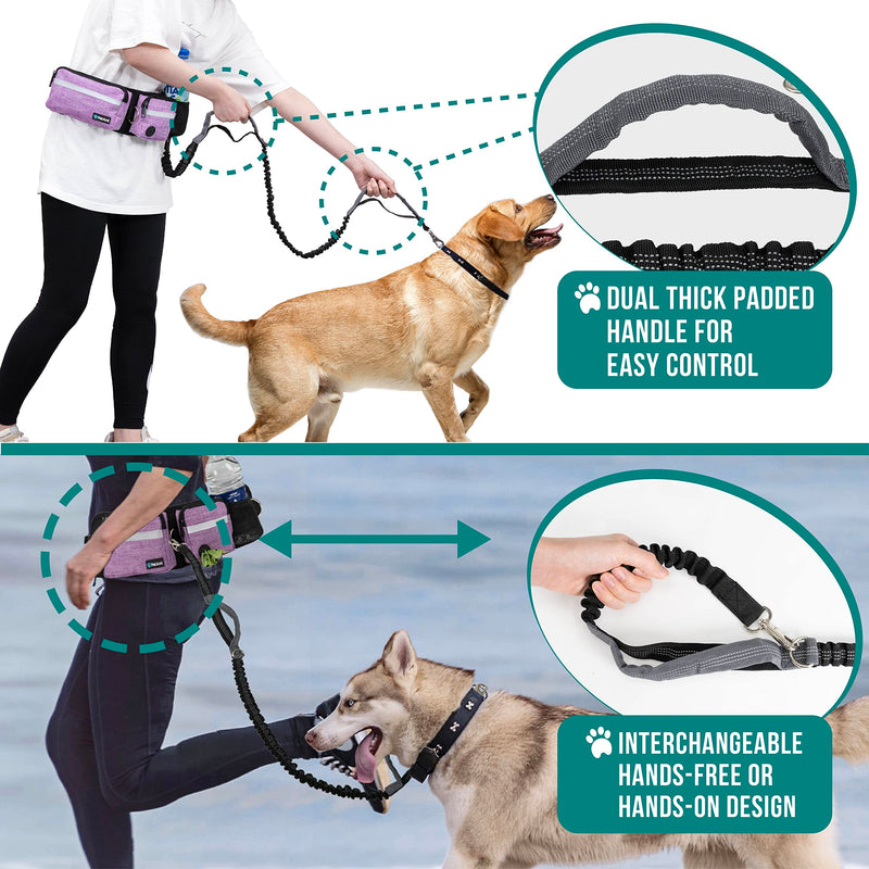PetAmi Hands Free Dog Leash, Running Leash Belt Bag for Walking, Jogging, Waist Double Zipper Pouch with Poop Dispenser, Dual Padded Handles Reflective Bungee Single, Purple, 1 Leash - BeesActive Australia