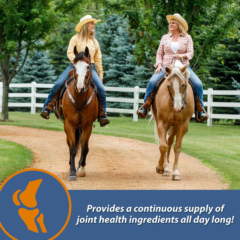 Farnam MaxFlex XR Extended Release Joint Supplement for Horses, Provides a continuous supply of joint health ingredients for 24 hours, 0.9375 pound, 30 Day Supply - BeesActive Australia