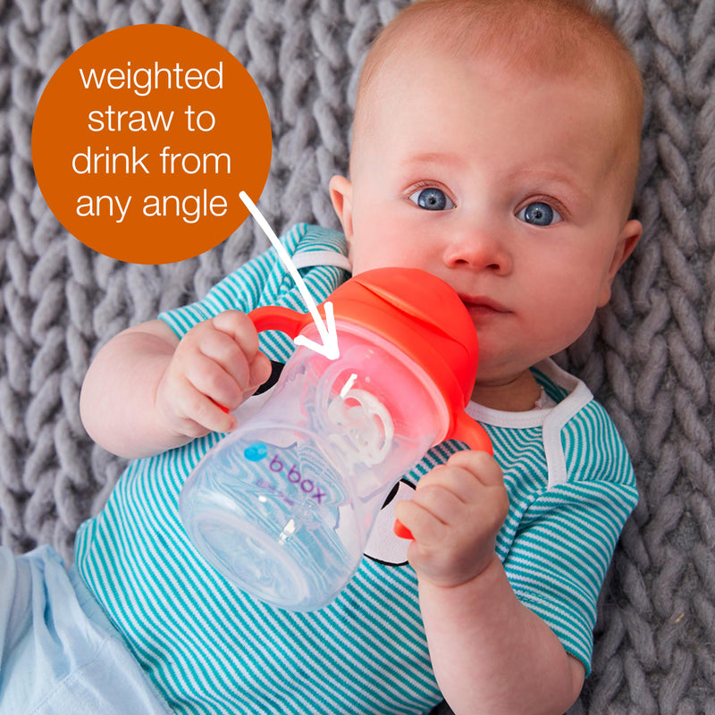 b.box Sippy Cup with Weighted Straw, Leak & Spill Proof, Easy Grip, BPA Free, Dishwasher Safe, Sip from Any Angle. Ideal for Babies 6m+ to Toddlers. (Blush, 8oz) Blush