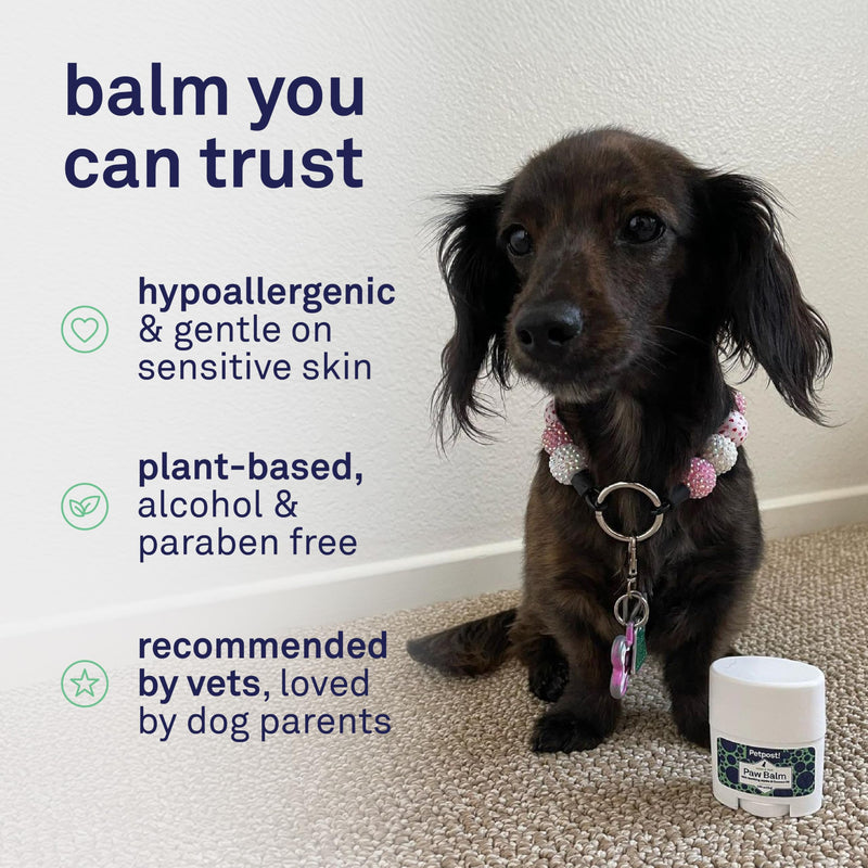 Petpost | Paw Balm for Dogs - Nourishing Cream Soothes Itchy, Dry Dog Paws with Moisturizing Ingredients - Organic Coconut Oil, Jojoba Oil, and Shea Butter 0.64 oz.