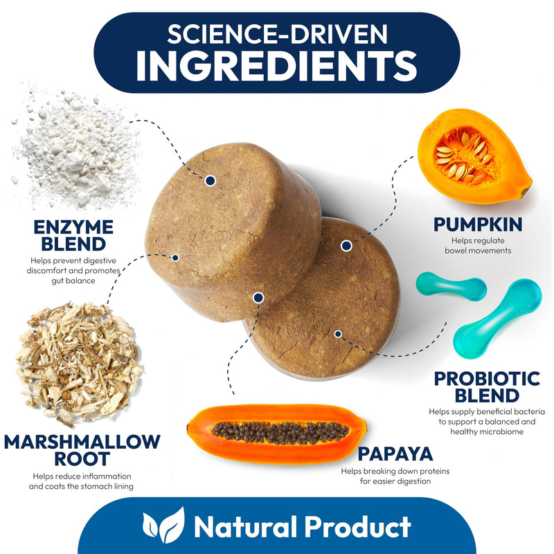 Probiotics for Dogs - 170 Dog Probiotics Chews - Digestive Enzymes & Prebiotics - Support Gut Health, Diarrhea, Gas & Constipation Relief - Itchy Skin, Allergies, Yeast Balance - Advanced Supplement 170 Chews Probiotic