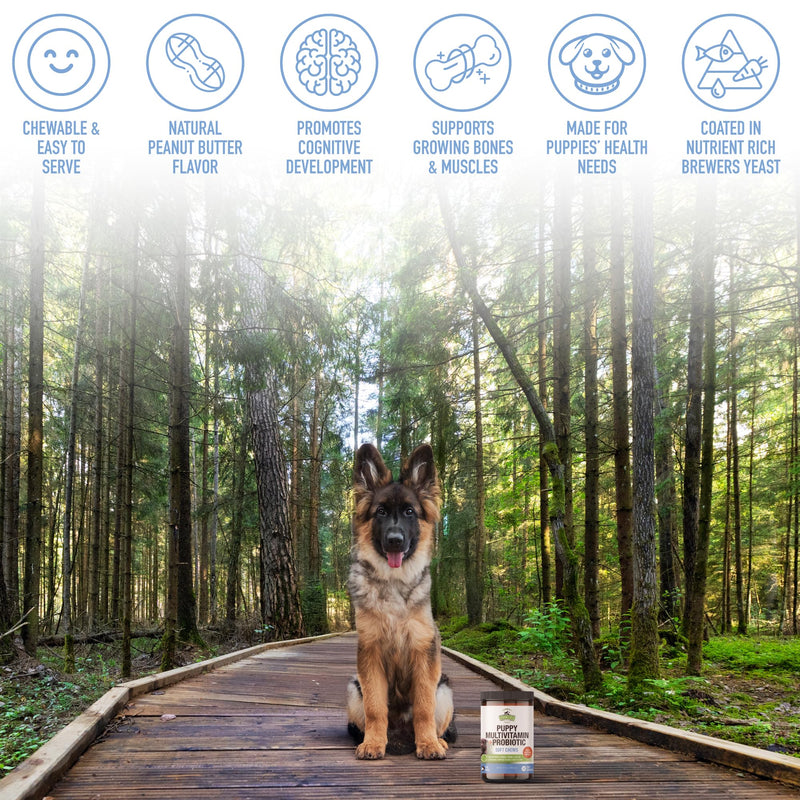 Strawfield Pets Puppy Multivitamin + Probiotics for Dogs Puppy Vitamins with Joint Support Supplement for Dogs & Puppies Peanut Butter Flavor 120 Crumbly Soft Chews Mild Peanut Butter