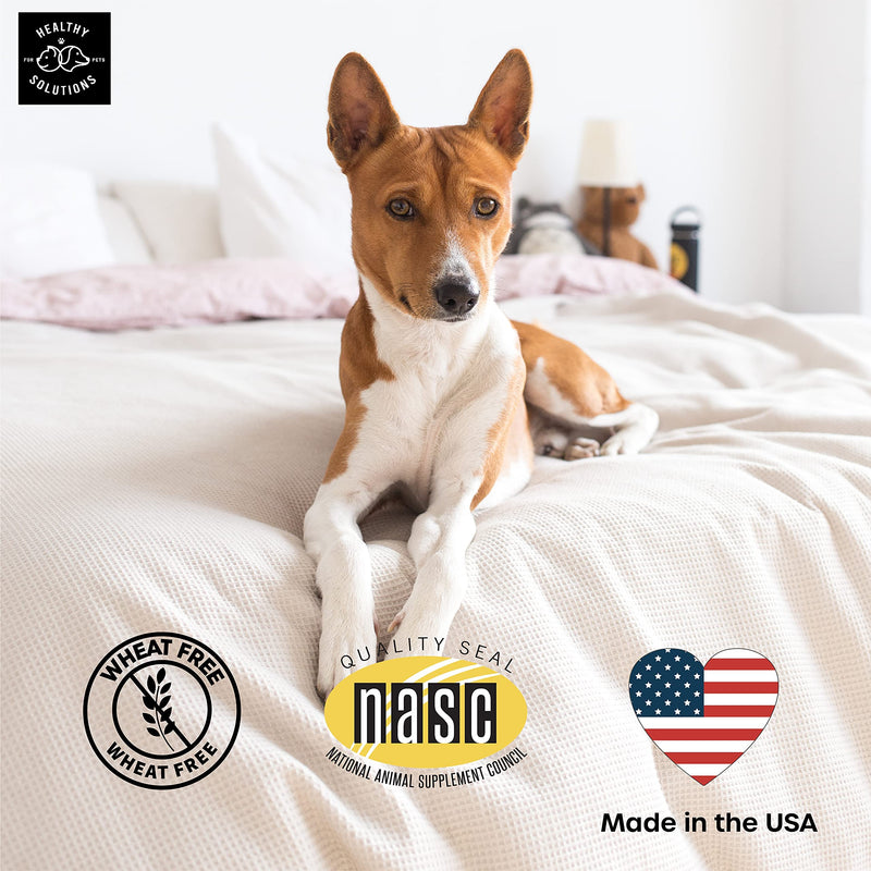 Deterrent for Dogs Eating Poop - Coprophagia No Poo Chews Prevent Dog from Eating Stool - Chew Enhanced with Breath Freshener, Enzymes, & Probiotics to Help Ease and Stop This Nasty Habit | 120ct 120 Soft Chews - BeesActive Australia