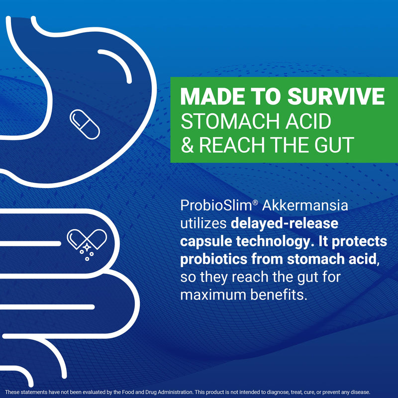 Force Factor ProbioSlim Akkermansia Prebiotics & Probiotic with 1B AFUs | Akkermansia Muciniphila, Prebiotics & Chromax Chromium, Support Lean Body Mass, Digestion & Gut Health, 60 Vegetable Capsules