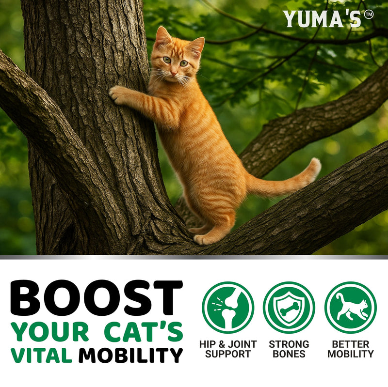 YUMA'S Cat Hip and Joint Health Supplement Chews – Advanced Glucosamine for Cats – MSM, Chondroitin & Omega-3 Salmon Oil – Supports Mobility, Joint Pain Relief, Cat Vitamins for Indoor & Outdoor Cats 120 Chews Cat Hip & Joint